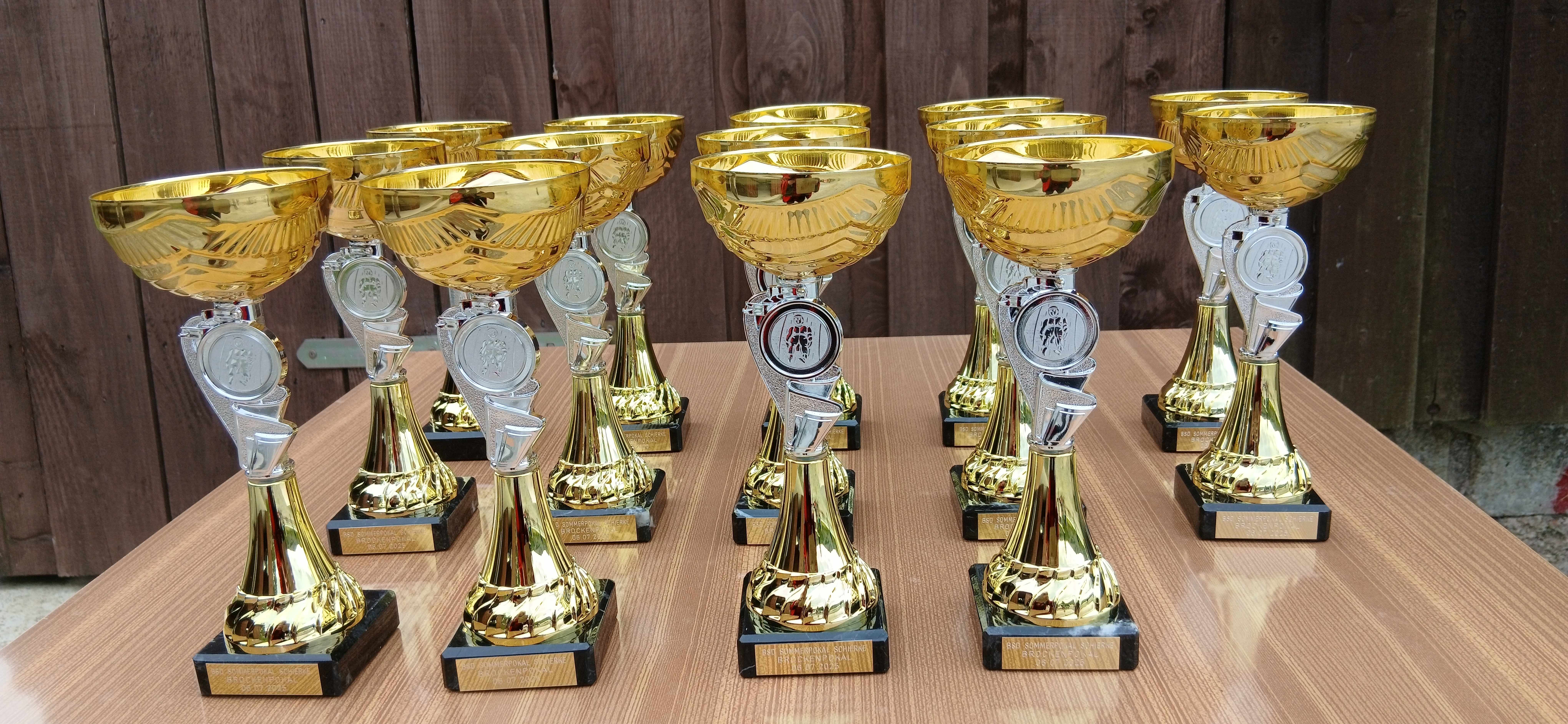 BSD-Pokal 2025